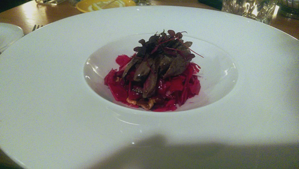 Wood pigeon - Perkins - Nottingham