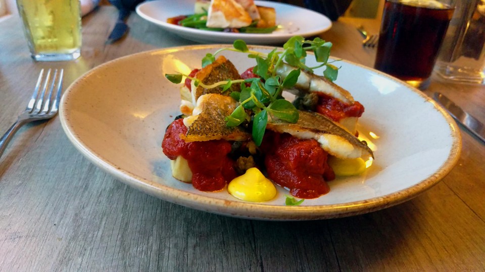 Sea Bream - Tom Browns - Gunthorpe